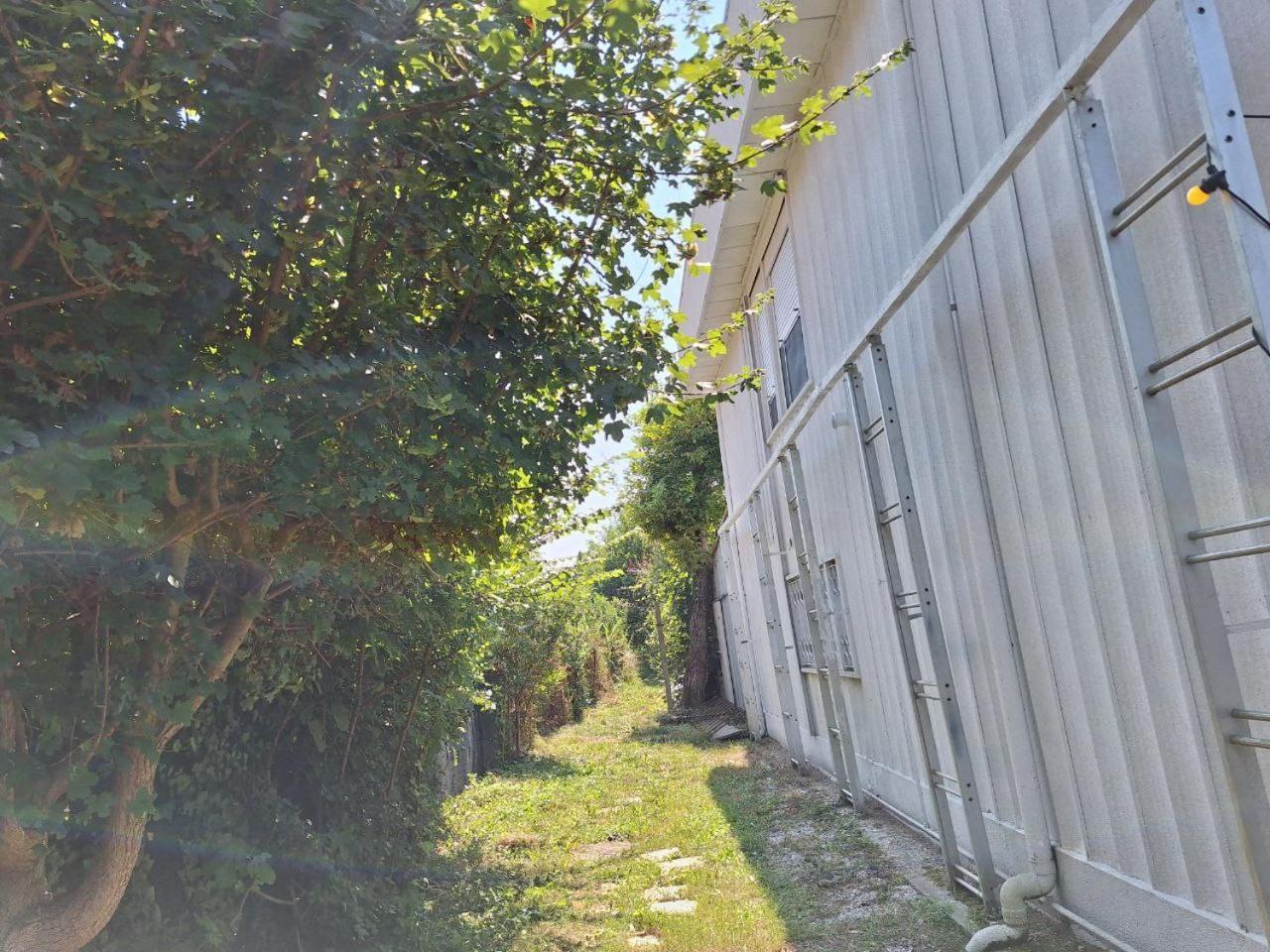 Green Fields بادوفا المظهر الخارجي الصورة