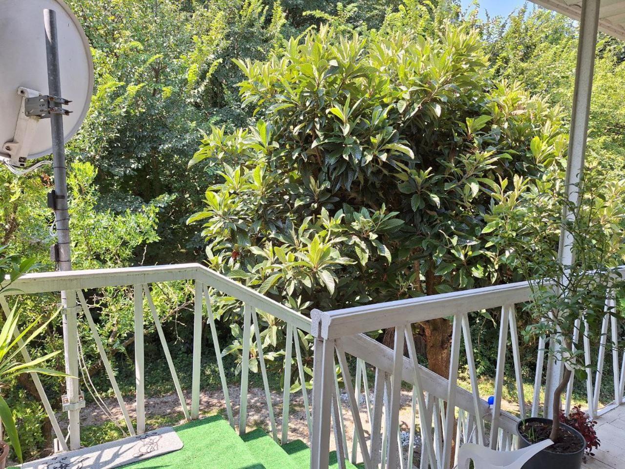 Green Fields بادوفا المظهر الخارجي الصورة