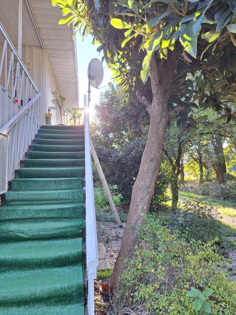 Green Fields بادوفا المظهر الخارجي الصورة