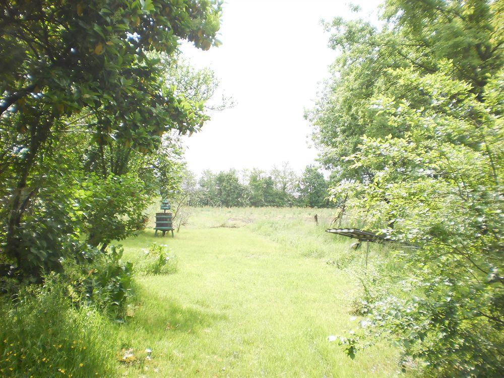 Green Fields بادوفا المظهر الخارجي الصورة