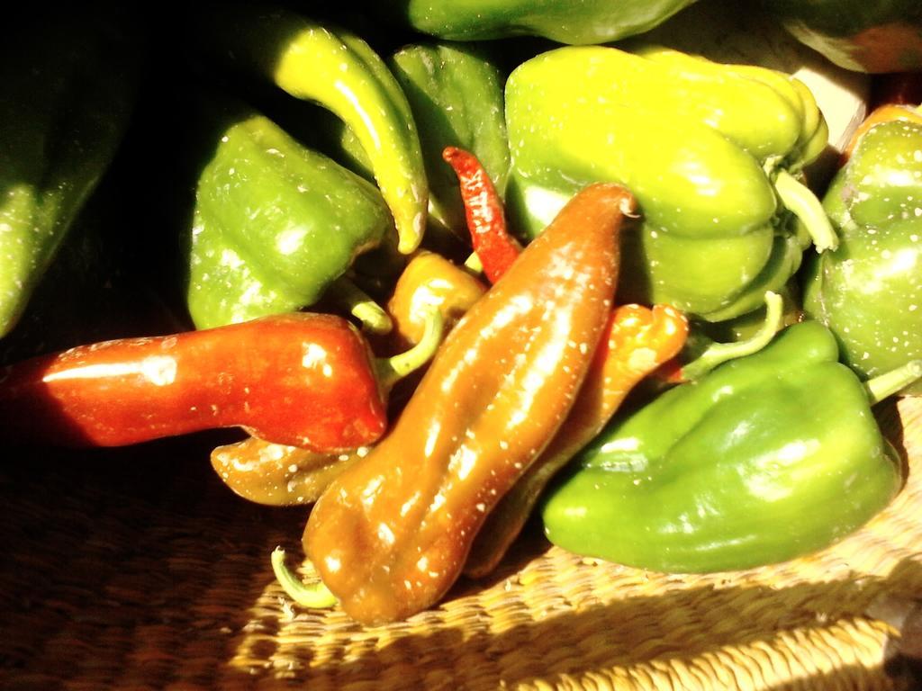 Green Fields بادوفا المظهر الخارجي الصورة
