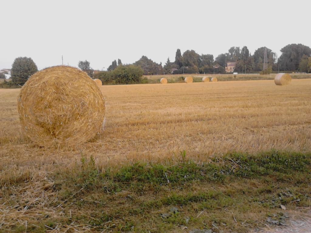 Green Fields بادوفا المظهر الخارجي الصورة