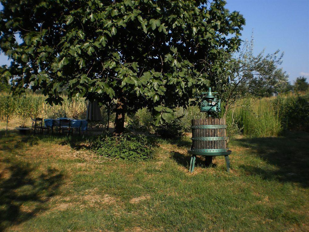 Green Fields بادوفا المظهر الخارجي الصورة